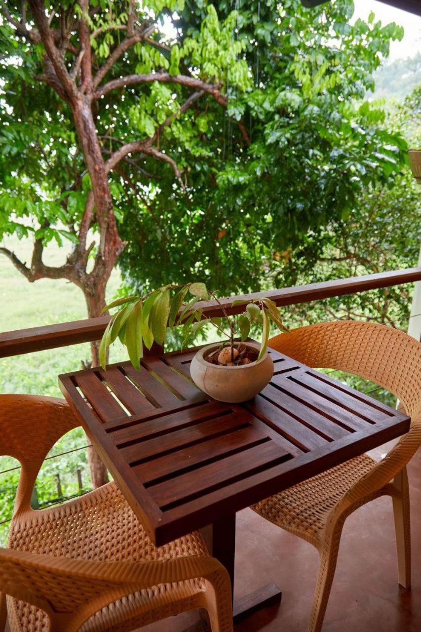 Green View Homestay Galle Exterior photo